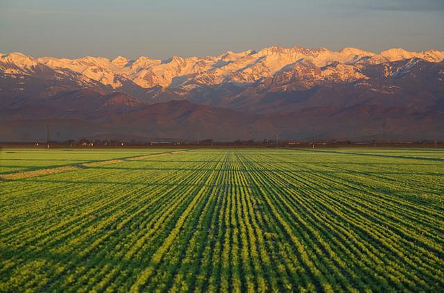 /valle_de_san_joaquin.jpg